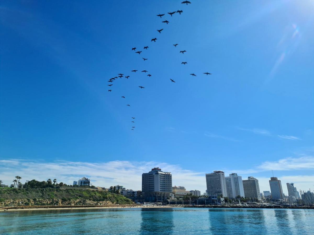 Lapin 9 - By Beach Apartments Tlv Тель-Авив Экстерьер фото
